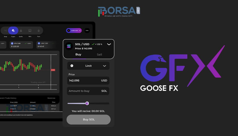 GooseFX (GOFX) Coin Nedir ?