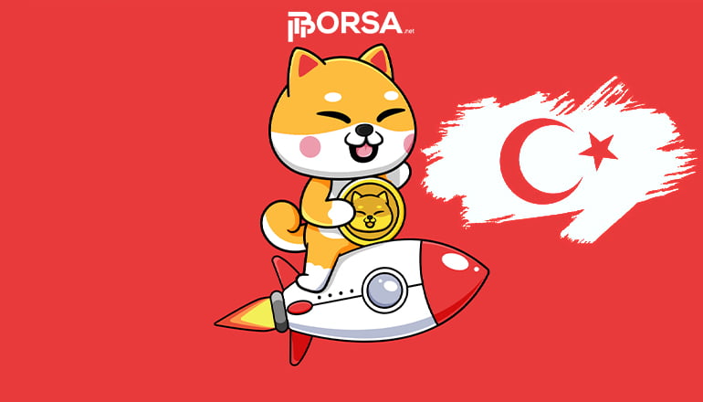 Türkiye Gerçekten Shiba Inu'yu Kabul Etmeyi Planlıyor mu?