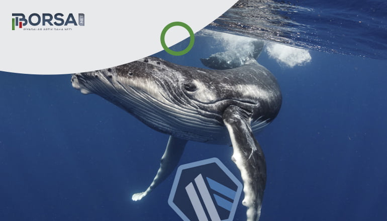 Arbitrum (ARB) Coin Balinası Yatırımlarını Arttırıyor