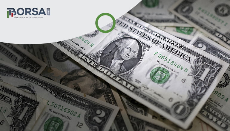 Dolar Analizi: Türk Lirası'na ilişkin kötümser tahminler
