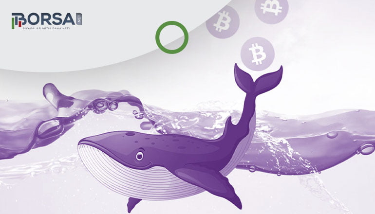 Şuanda Balinaların En Çok Aldığı Altcoinler!