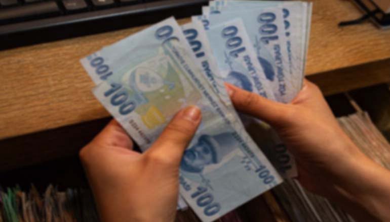 Dolar Türk Lirası Karşısında 13 TL seviyesini geçti