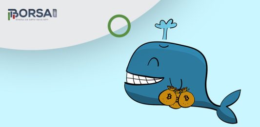 ayi piyasasinda balinalar toplu olarak bitcoin satin aliyor